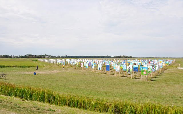 The Colorfield Performance